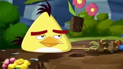 انیمیشن پرندگان خشمگین (angry birds) قسمت 71